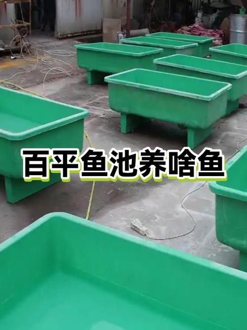 鱼池取名100个