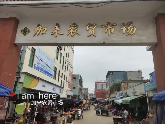 加来农场