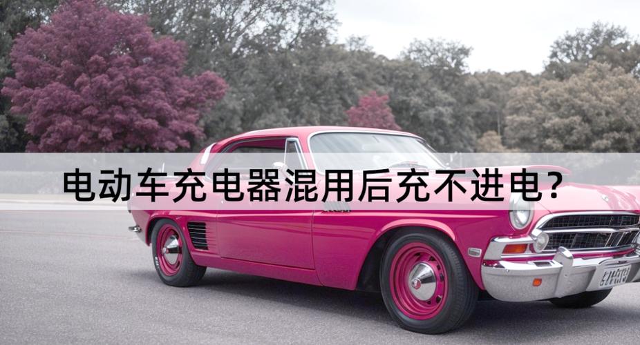 混用电动车充电器危害