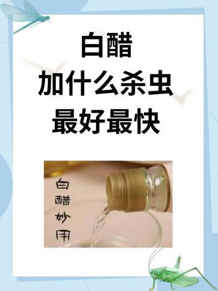 白醋加什么除铁锈最快截图