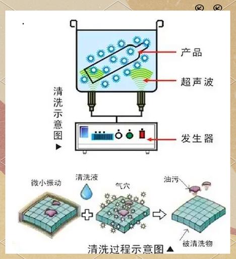 蔬菜清洗机工作原理