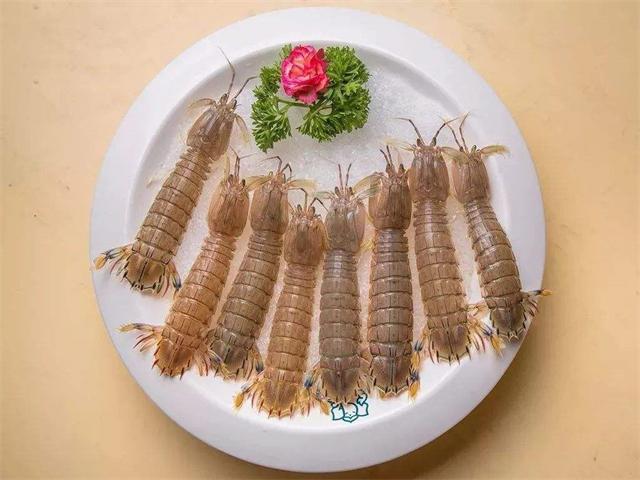 什么是皮虾