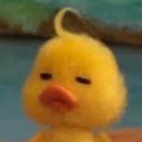 小黄鸭表情emoji