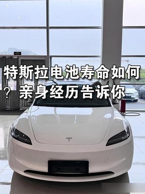 特斯拉电池使用年限