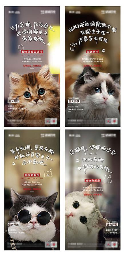 猫咖宣传 海报