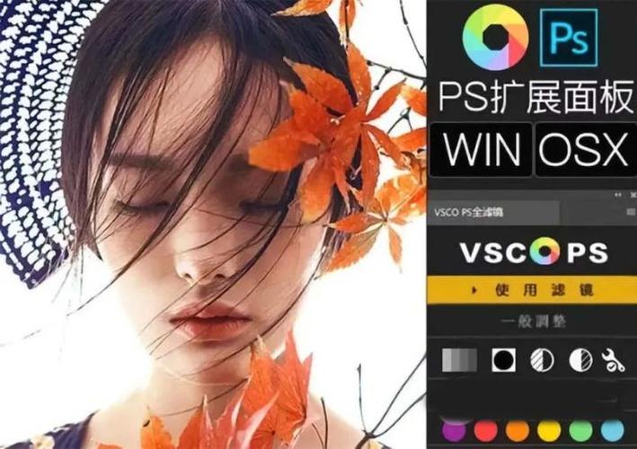 vsco滤镜在哪里找不到缩略图