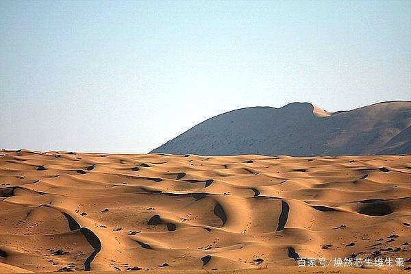 迪拜 沙特阿拉伯图标