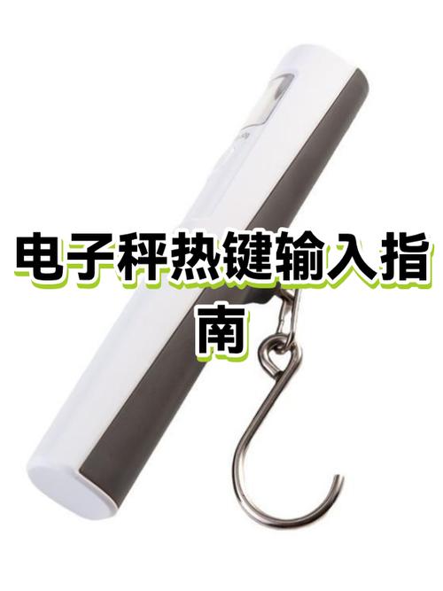 电子秤输入键是哪个键
