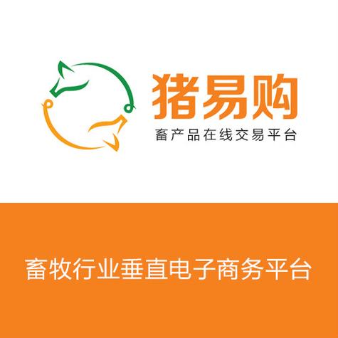 猪易网app下载缩略图