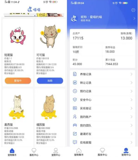 什么叫做云养猫