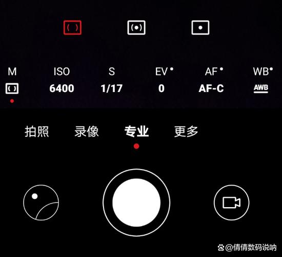 苹果拍照专业模式在哪