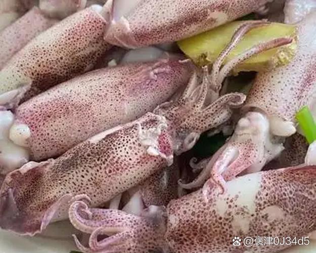 黄皮皮虾电影资源大全在线观看截图