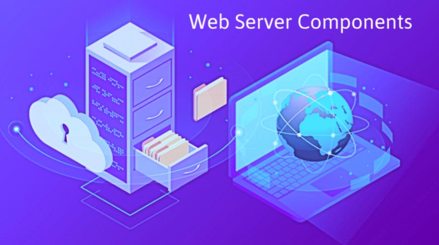 web和www的区别