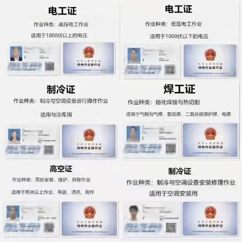 电工证pdf在哪弄