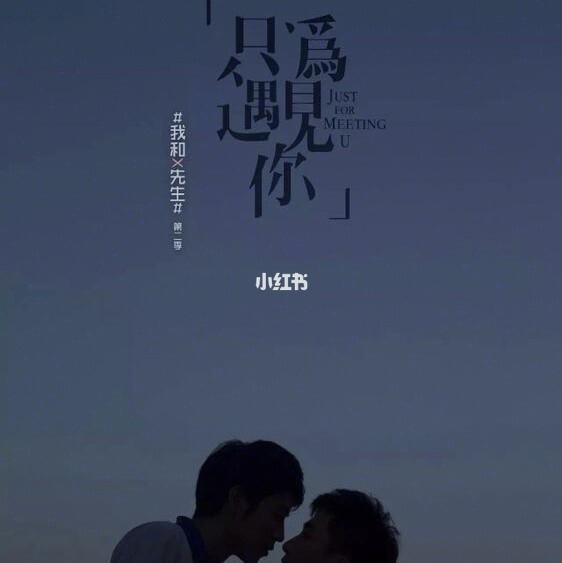 我和x先生第二季只为遇见你台词