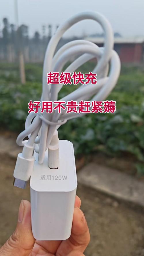 vivo手机超级快充在哪里设置
