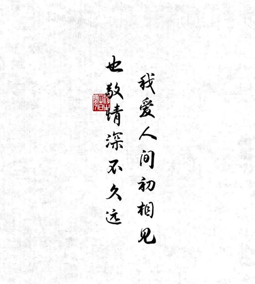 爱如初见的意思