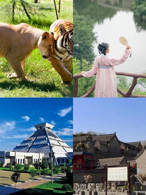 郑州出现不明飞行物是真的吗缩略图