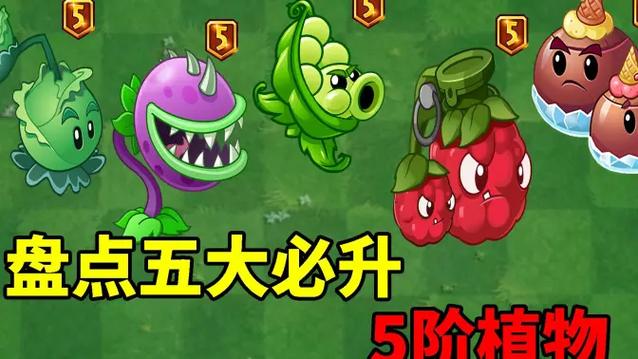 哪些植物值得升五阶