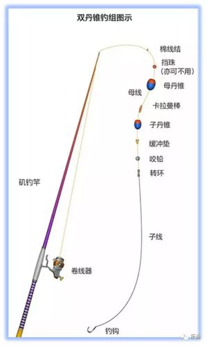 矶钓竿钓法