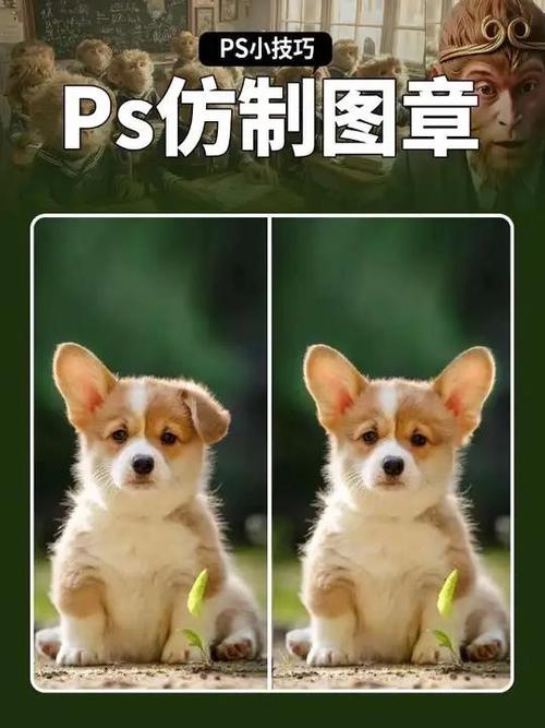 ps仿制图章仿制出来颜色变深