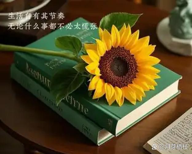 我的世界从此以后多了一个你什么歌