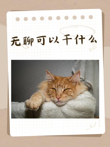女生说好无聊暗示什么