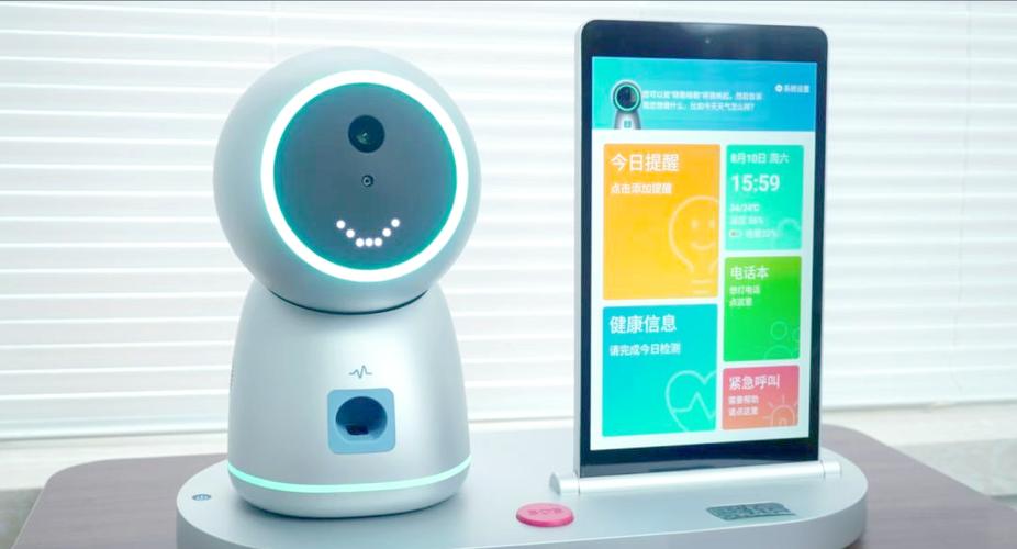 iqoo怎么看陪伴天数