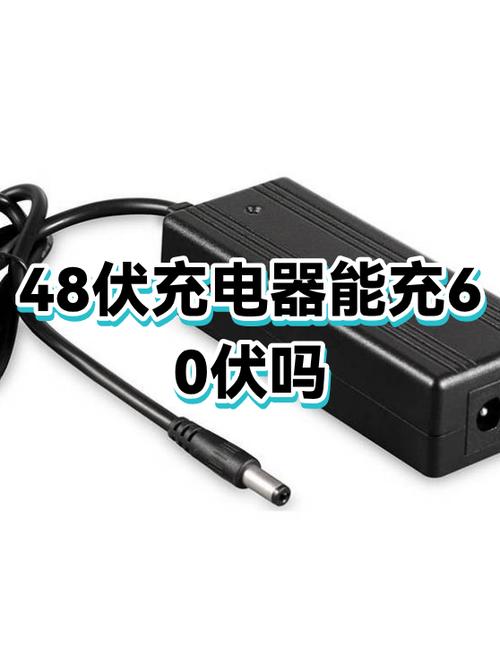 电瓶车充电器48伏能充60伏吗游戏截图