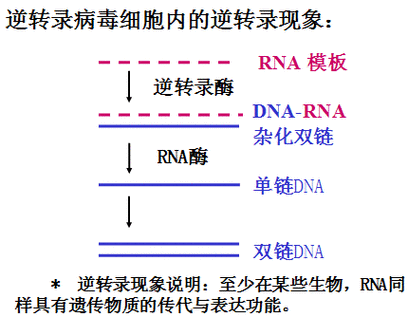 为什么排位连胜就是连跪