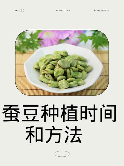 怎样种蚕豆视频