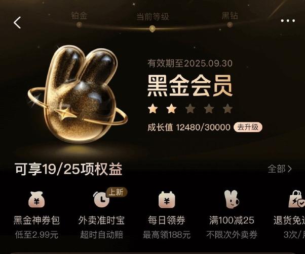 美团突然成了黑金会员