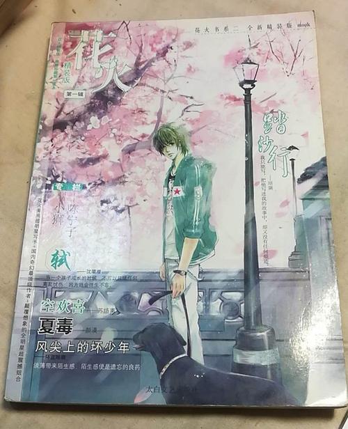 花火连载过的长篇小说2023