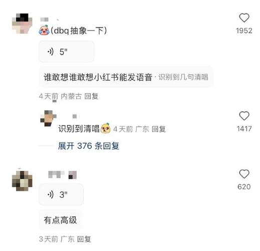 小红书自己的评论