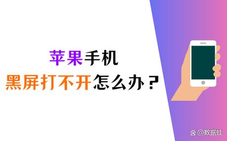 苹果6s闲置太久开不了机怎么办