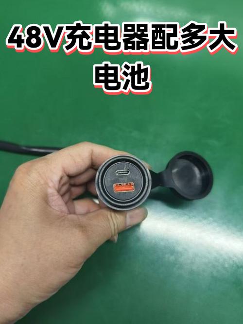 48v锂电池配多大充电器