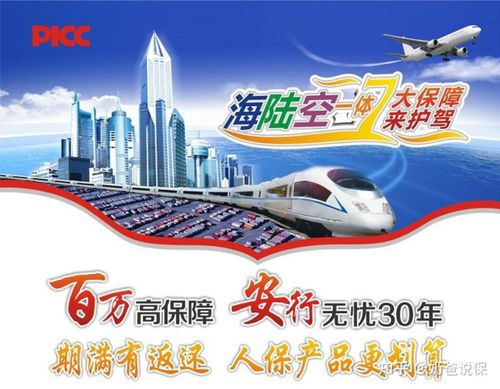 百万任我行有必要买吗缩略图