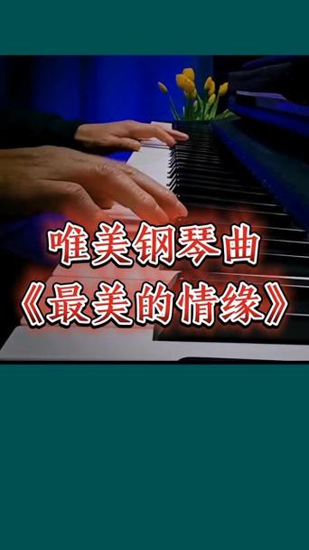 最美的情缘 音乐图标