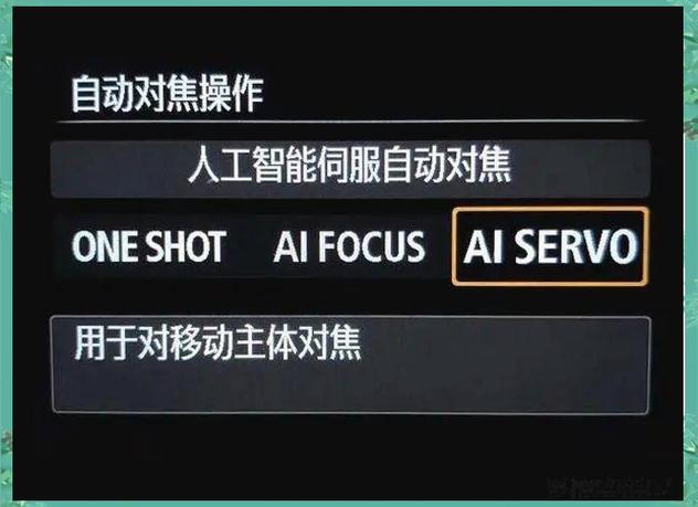 相机是如何自动对焦的的