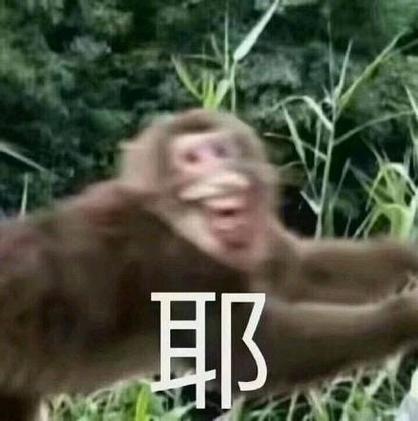 猴子表情包