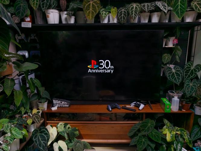 ps5开不了机原因