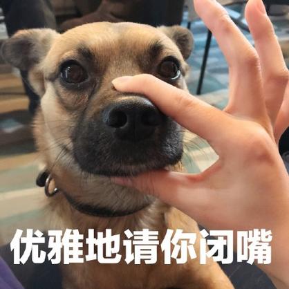别说了 表情包