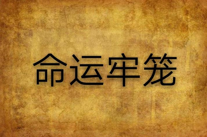 命运的牢笼TXT下载