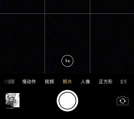 苹果手机有手势拍照功能吗