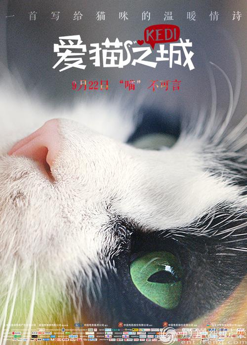 猫咪影视免费