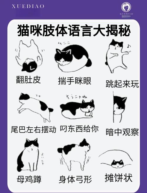 立浮,藏猫猫,狗刨,仰浮意思