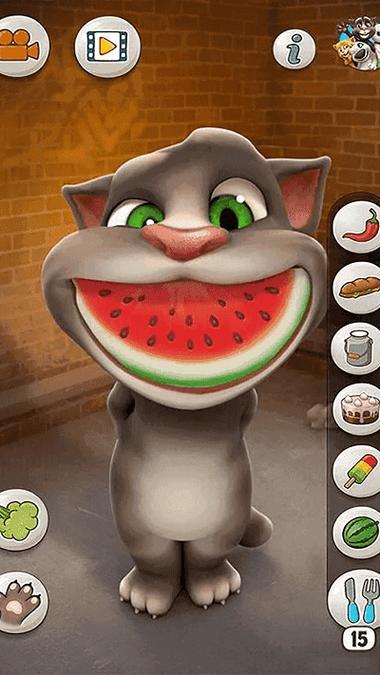 TalkingTom2010老版