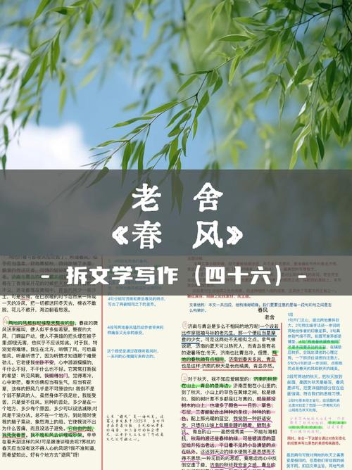 《春风墙》by火风txt讲的什么