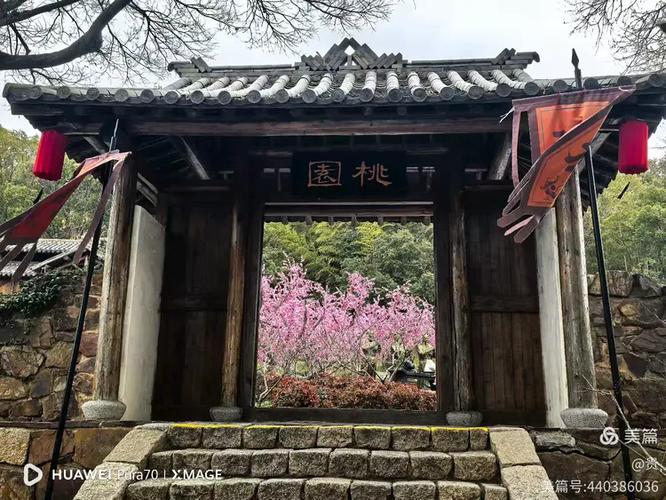 桃园三国在线观看动漫