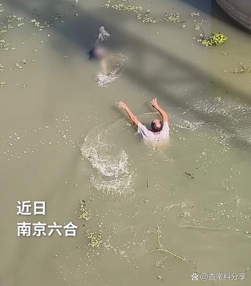 无翼乌游泳遇到